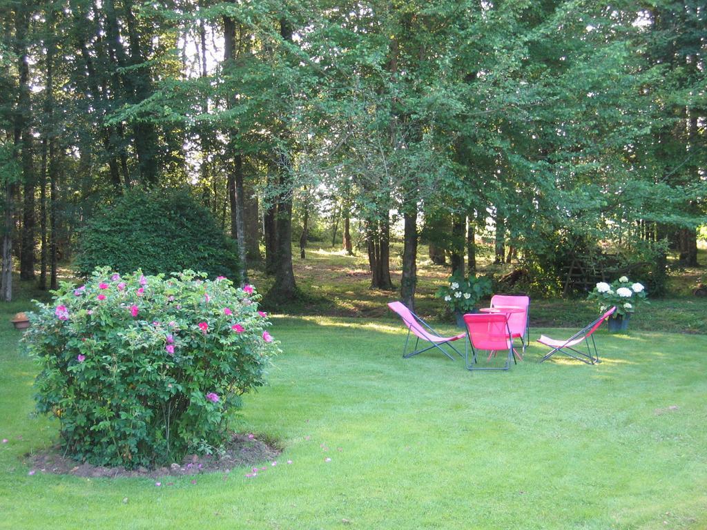 Saint-Branchs Logis De La Paqueraie B&B 외부 사진