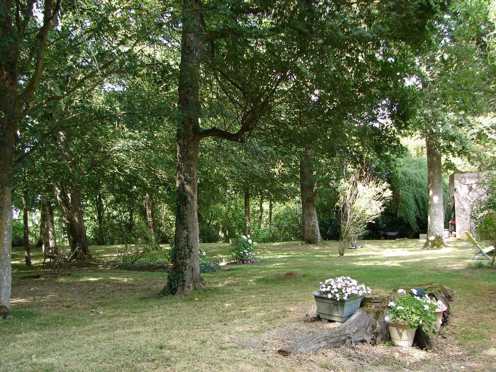 Saint-Branchs Logis De La Paqueraie B&B 외부 사진