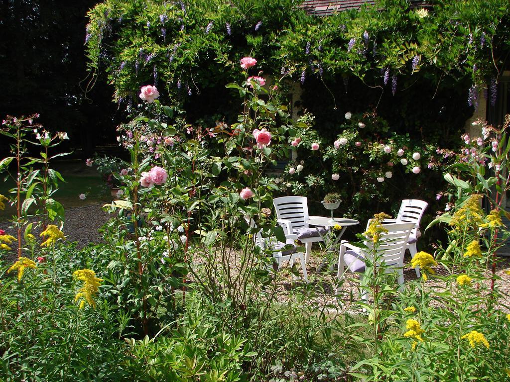 Saint-Branchs Logis De La Paqueraie B&B 외부 사진